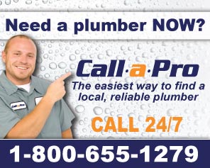 Call a Pro for Plumbers in Hawaii